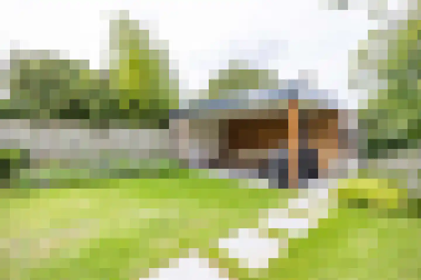 Langstraat 38 Venray thumbnail 8