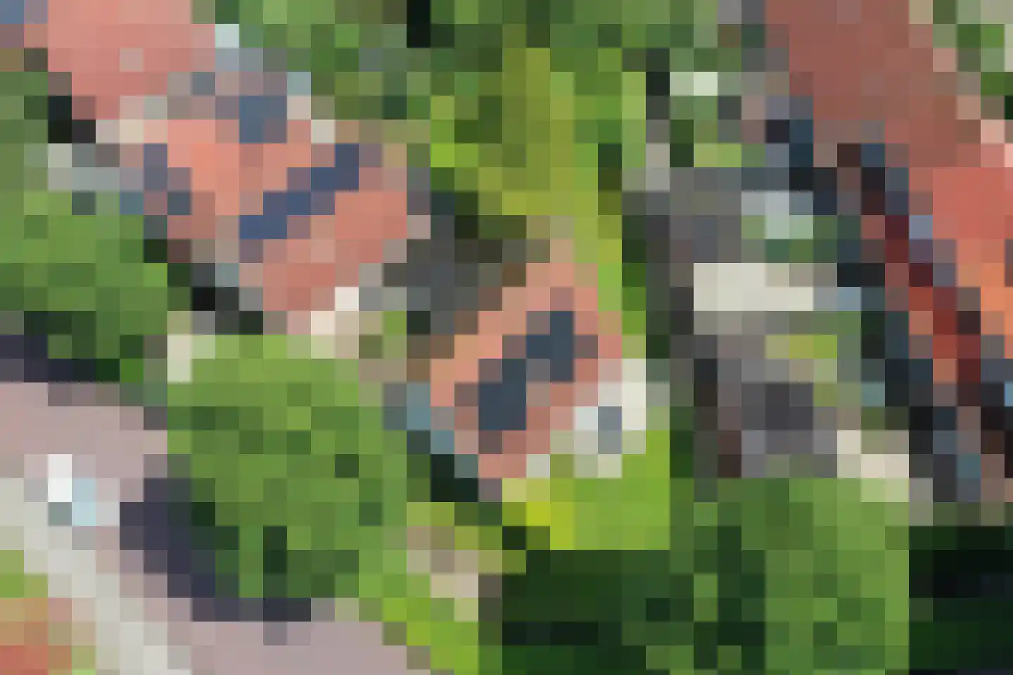 Langstraat 39 Dronten thumbnail 30