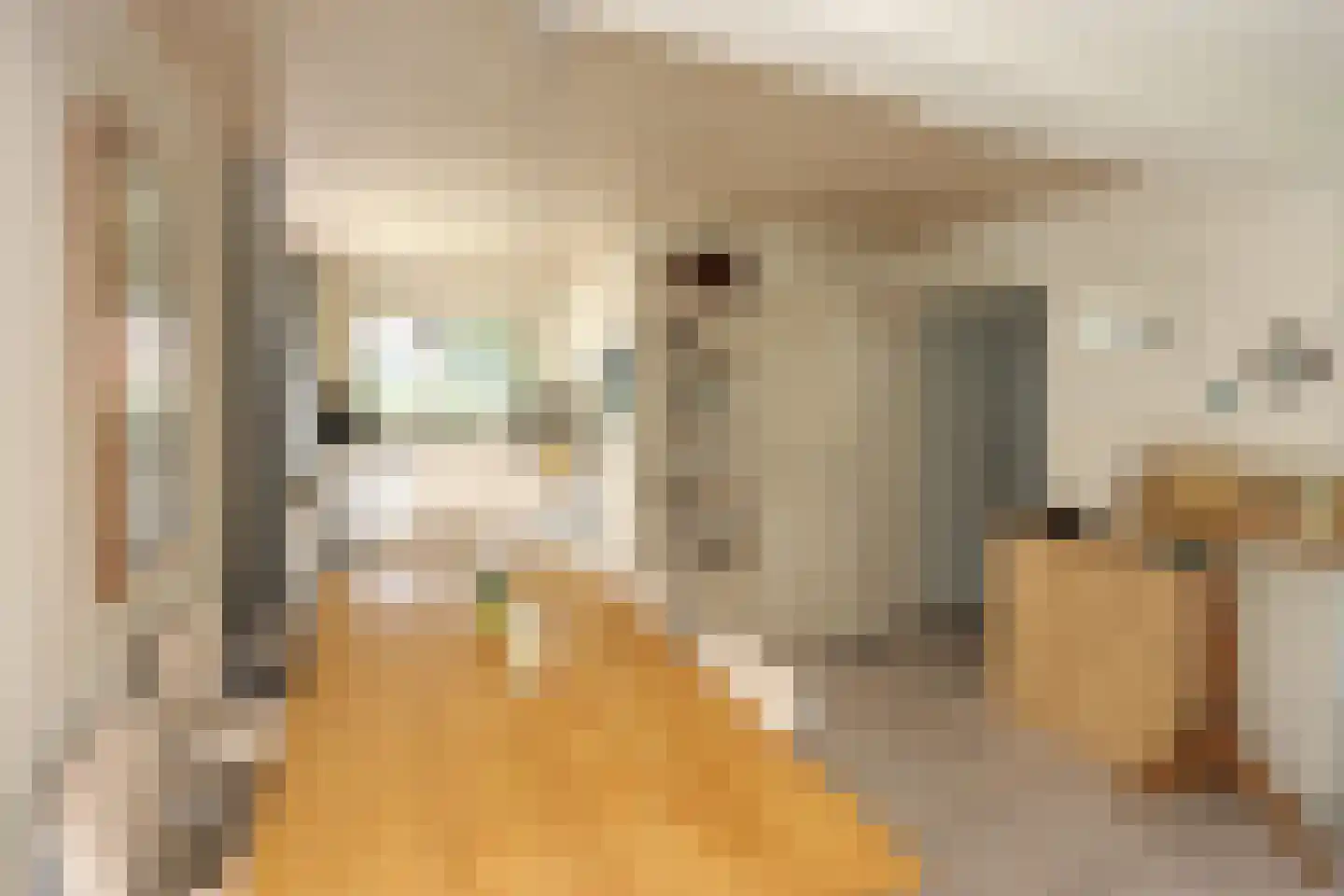 Langstraat 39 Dronten thumbnail 9