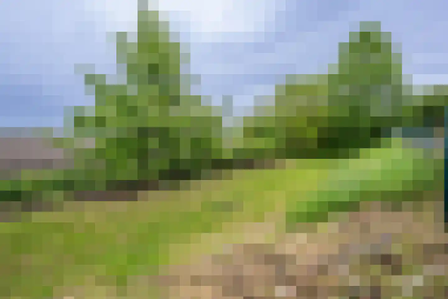 Langstraat 4 Achthuizen thumbnail 32