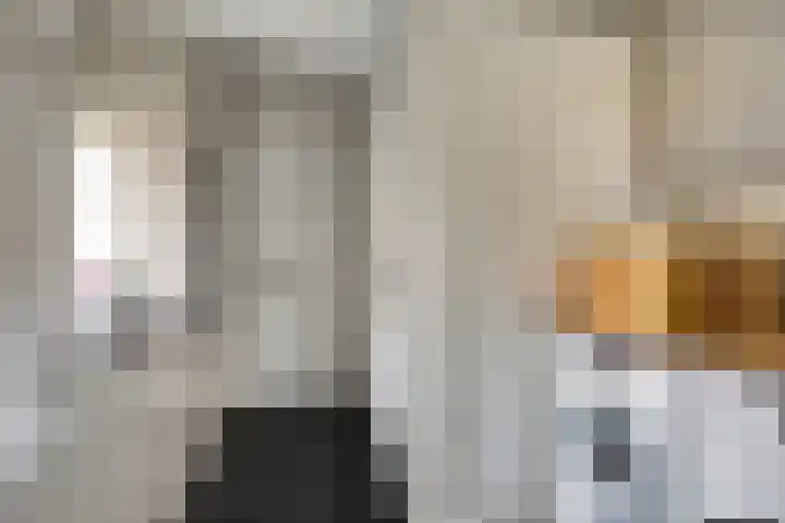 Langstraat 4 B Schore thumbnail 23