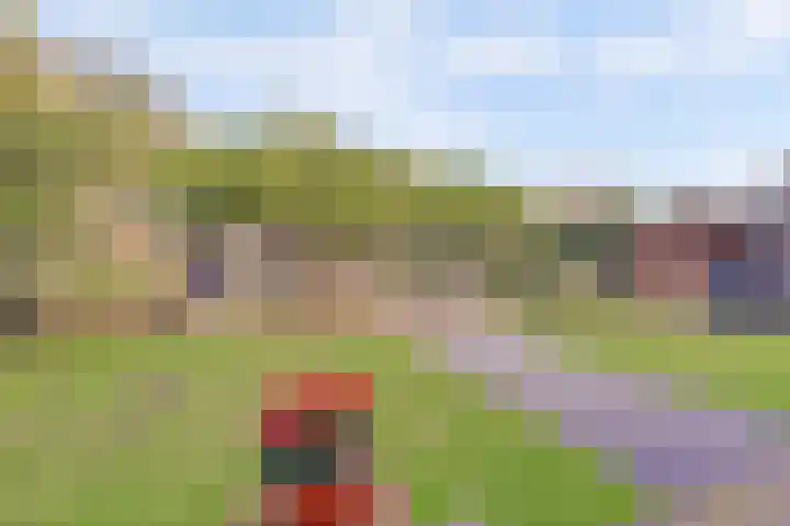 Langstraat 4 B Schore thumbnail 47