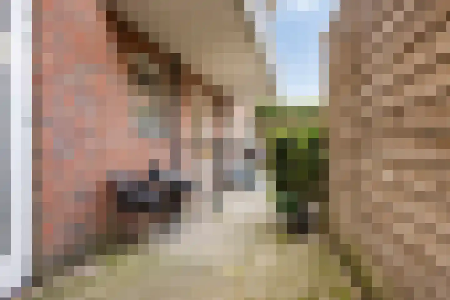 Langstraat 4 Venray thumbnail 19