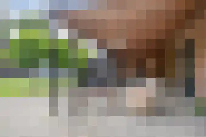 Langstraat 41 a Afferden L thumbnail 33