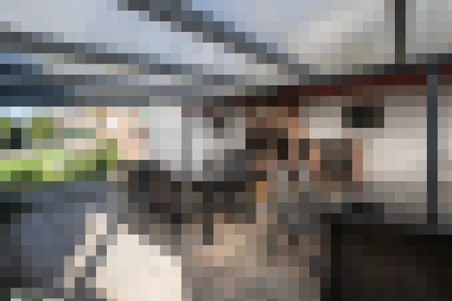 Langstraat 42 Achthuizen thumbnail 34