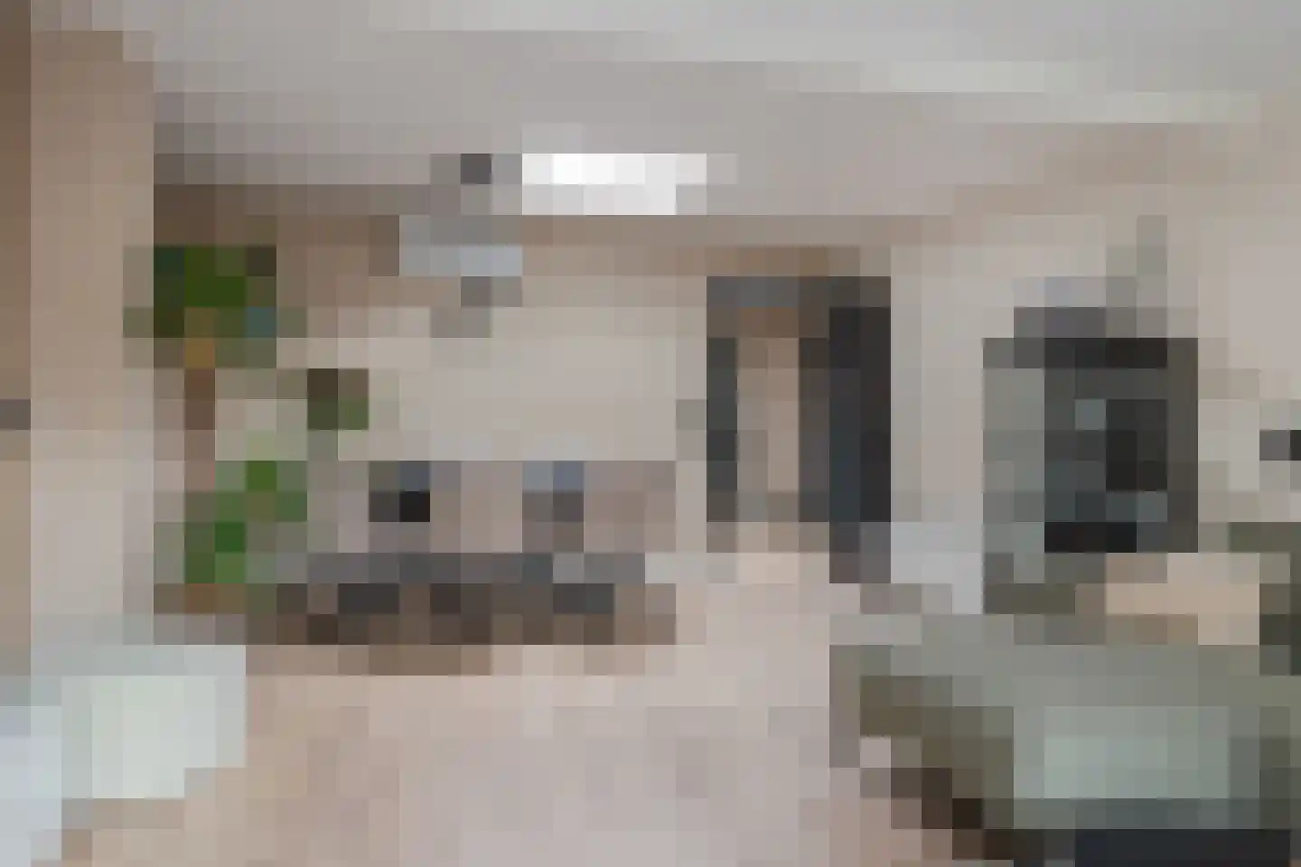 Langstraat 47 a Wijhe thumbnail 9