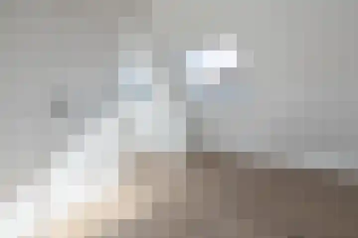 Langstraat 47 C Barneveld thumbnail 20