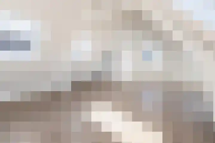Langstraat 47 C Barneveld thumbnail 4