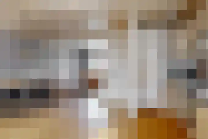 Langstraat 47 Schimmert thumbnail 8
