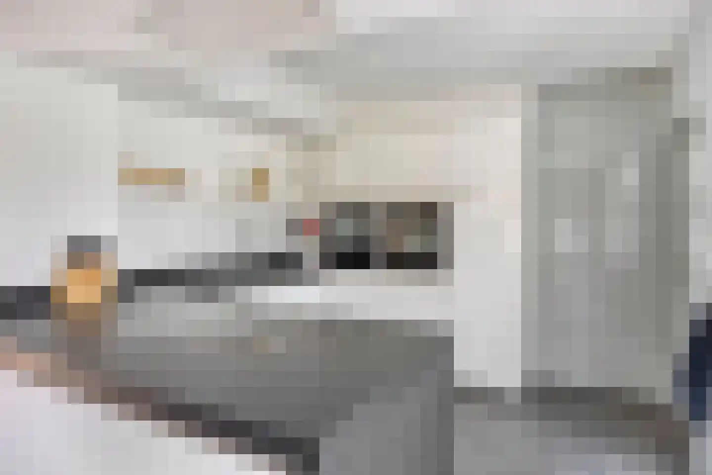 Langstraat 49 Dronten thumbnail 17