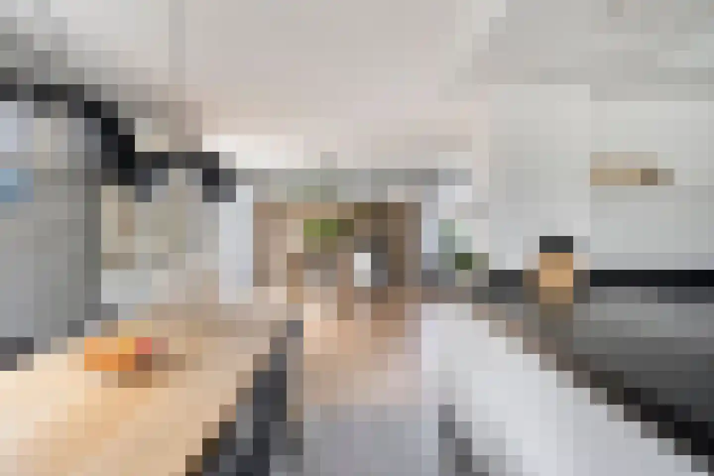 Langstraat 49 Dronten thumbnail 18