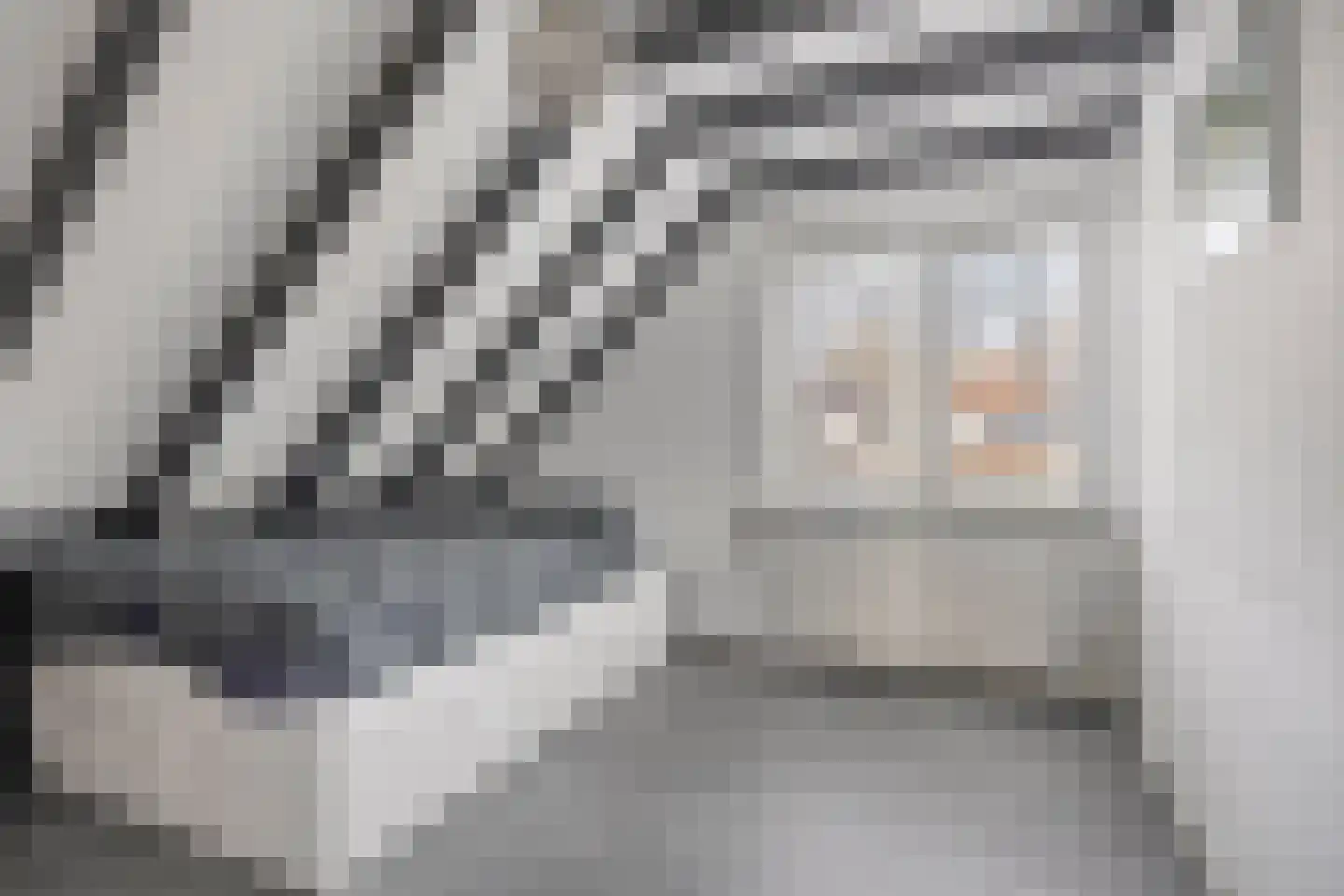 Langstraat 49 Dronten thumbnail 30