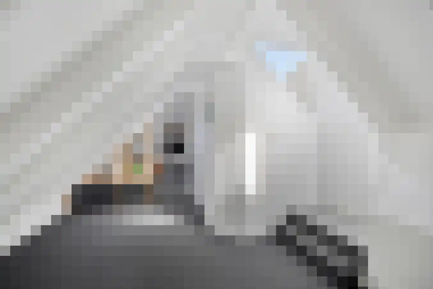 Langstraat 49 Dronten thumbnail 36
