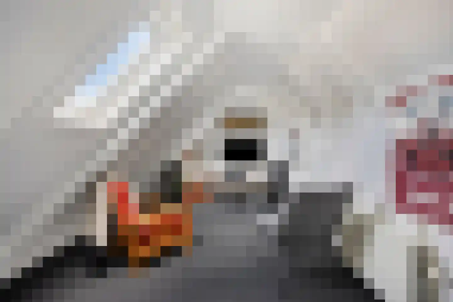 Langstraat 49 Dronten thumbnail 37