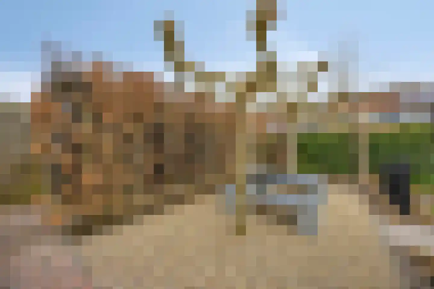 Langstraat 49 Dronten thumbnail 50