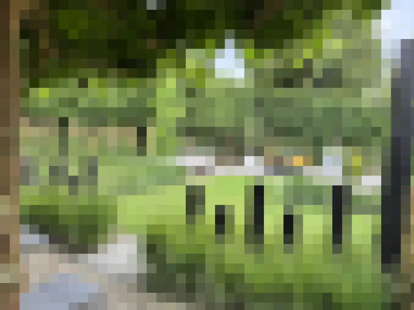 Langstraat 49 Dronten thumbnail 64