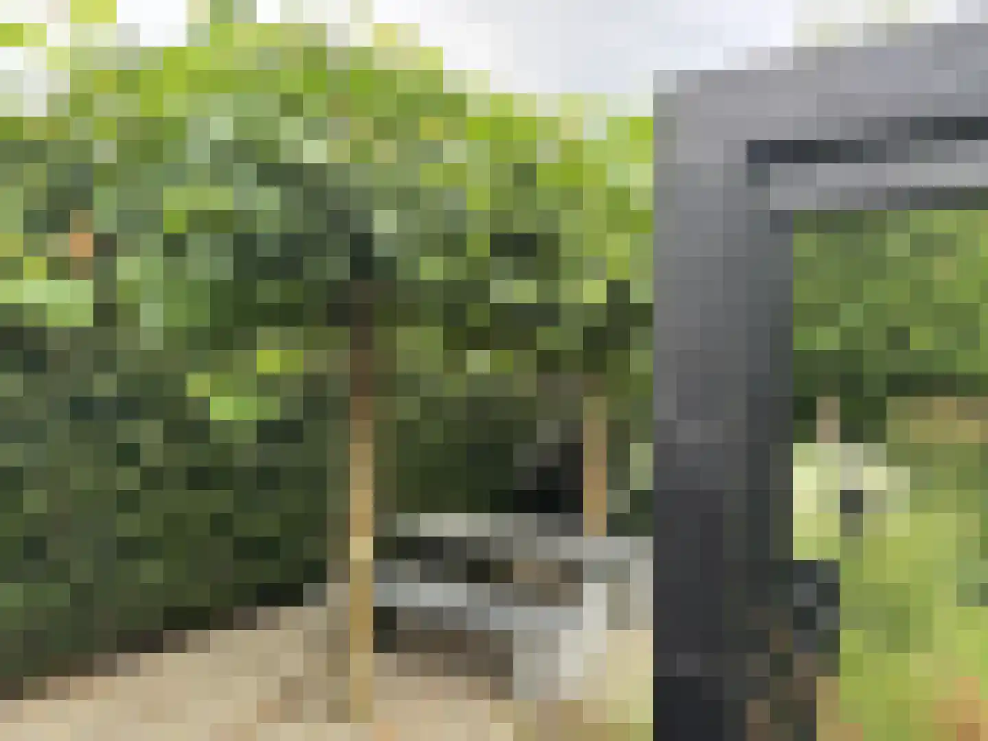 Langstraat 49 Dronten thumbnail 65