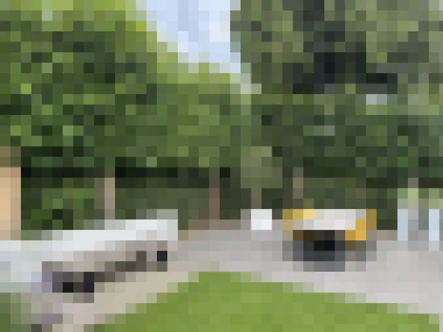 Langstraat 49 Dronten thumbnail 70