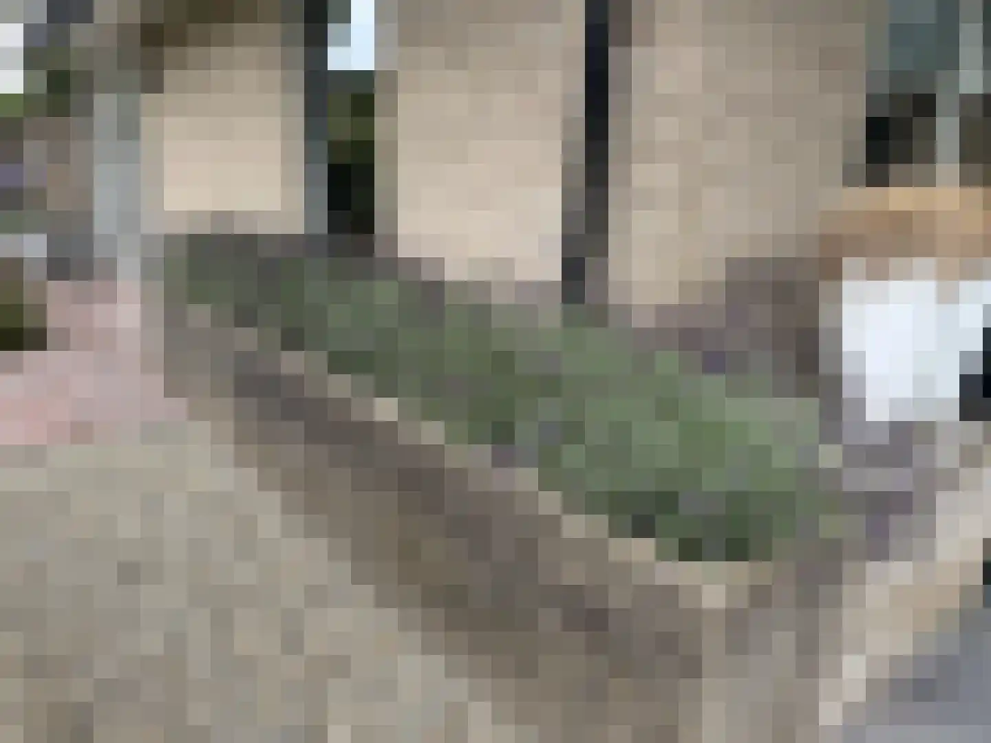 Langstraat 49 Dronten thumbnail 75