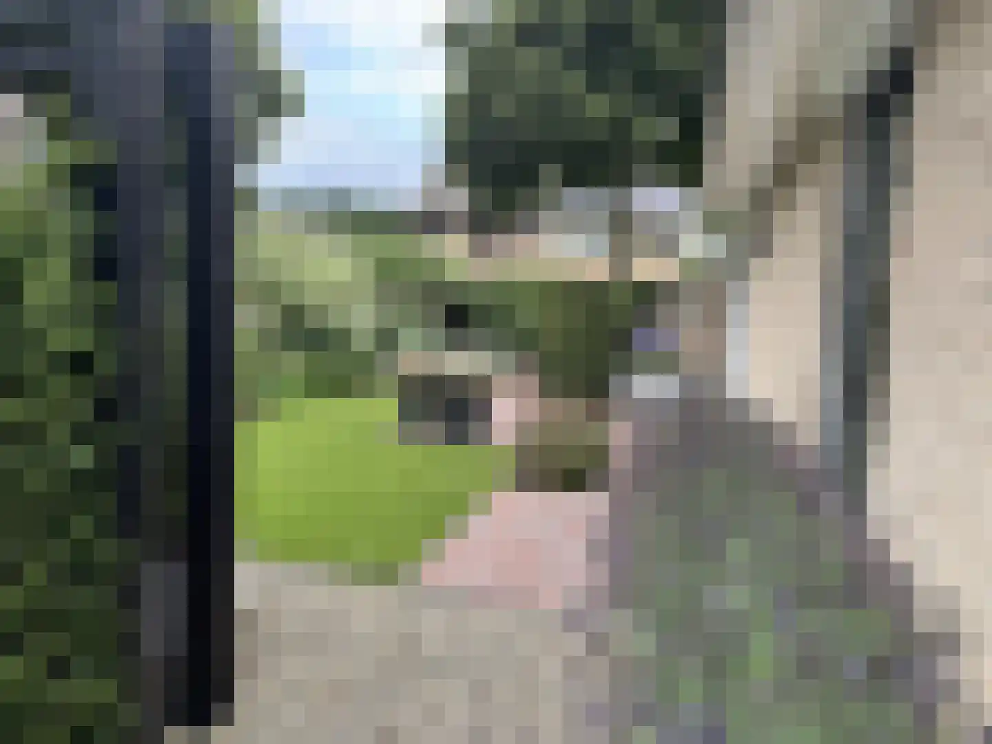 Langstraat 49 Dronten thumbnail 76