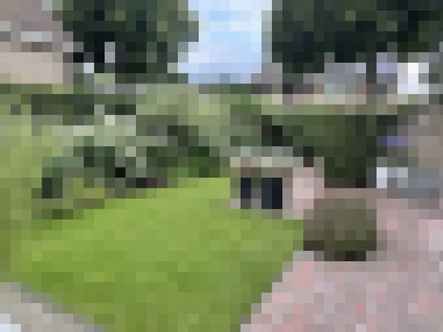 Langstraat 49 Dronten thumbnail 77