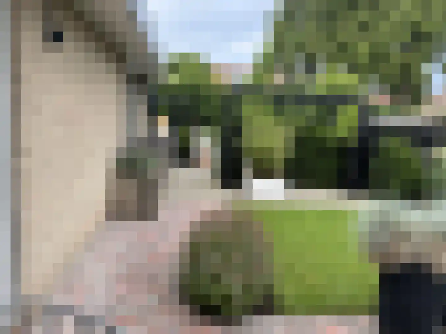 Langstraat 49 Dronten thumbnail 79