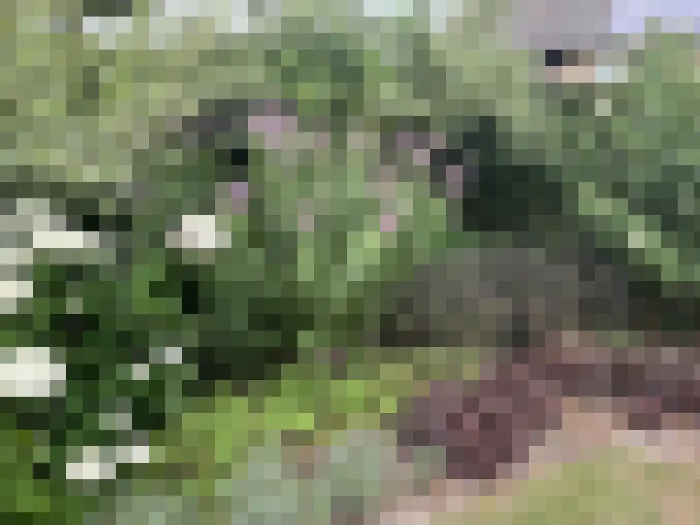 Langstraat 49 Dronten thumbnail 80