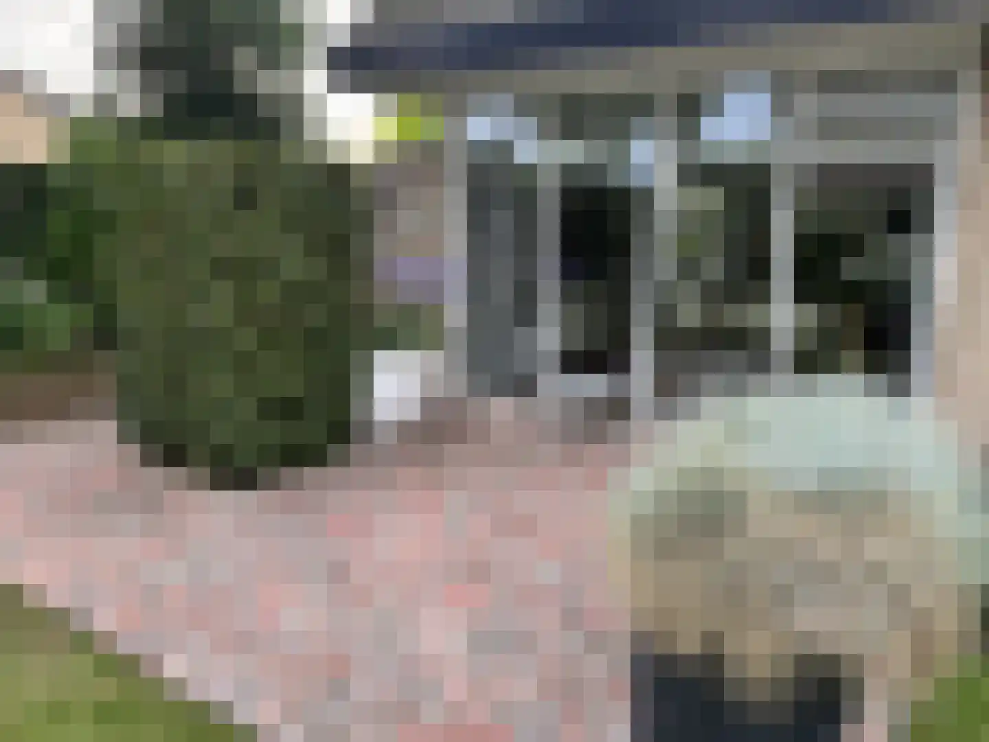 Langstraat 49 Dronten thumbnail 81