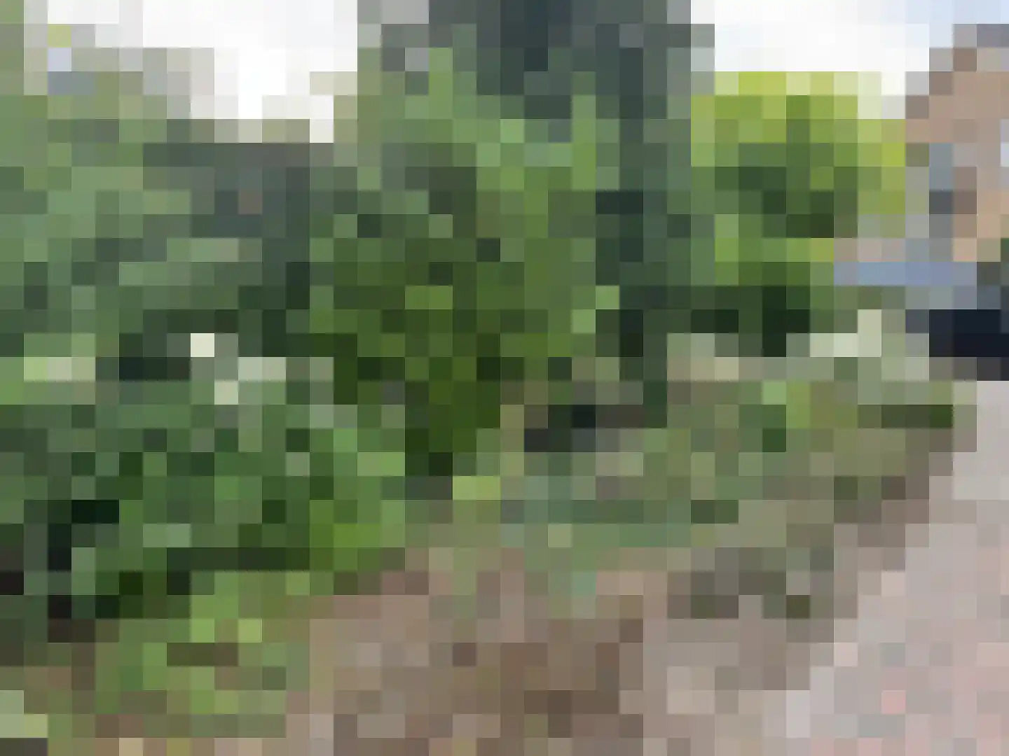Langstraat 49 Dronten thumbnail 82