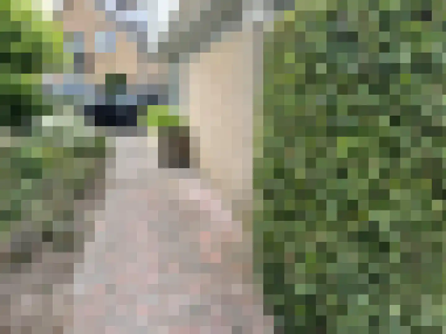 Langstraat 49 Dronten thumbnail 83