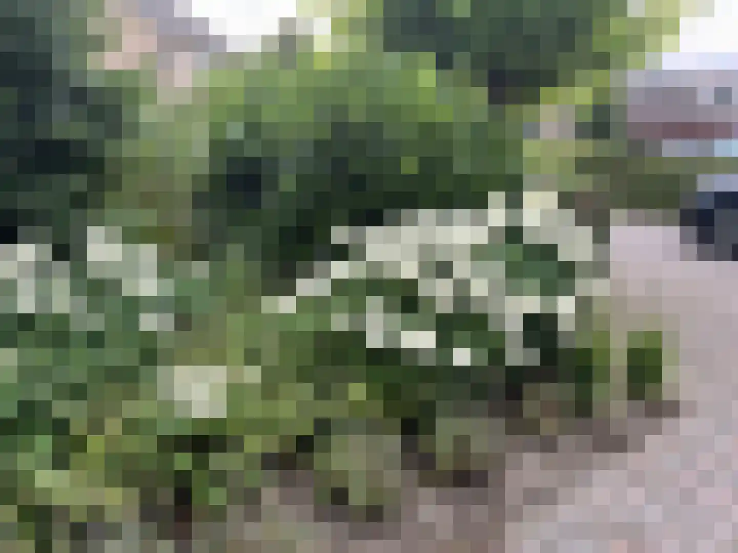 Langstraat 49 Dronten thumbnail 84