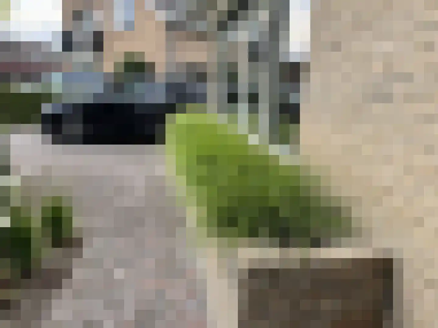 Langstraat 49 Dronten thumbnail 85