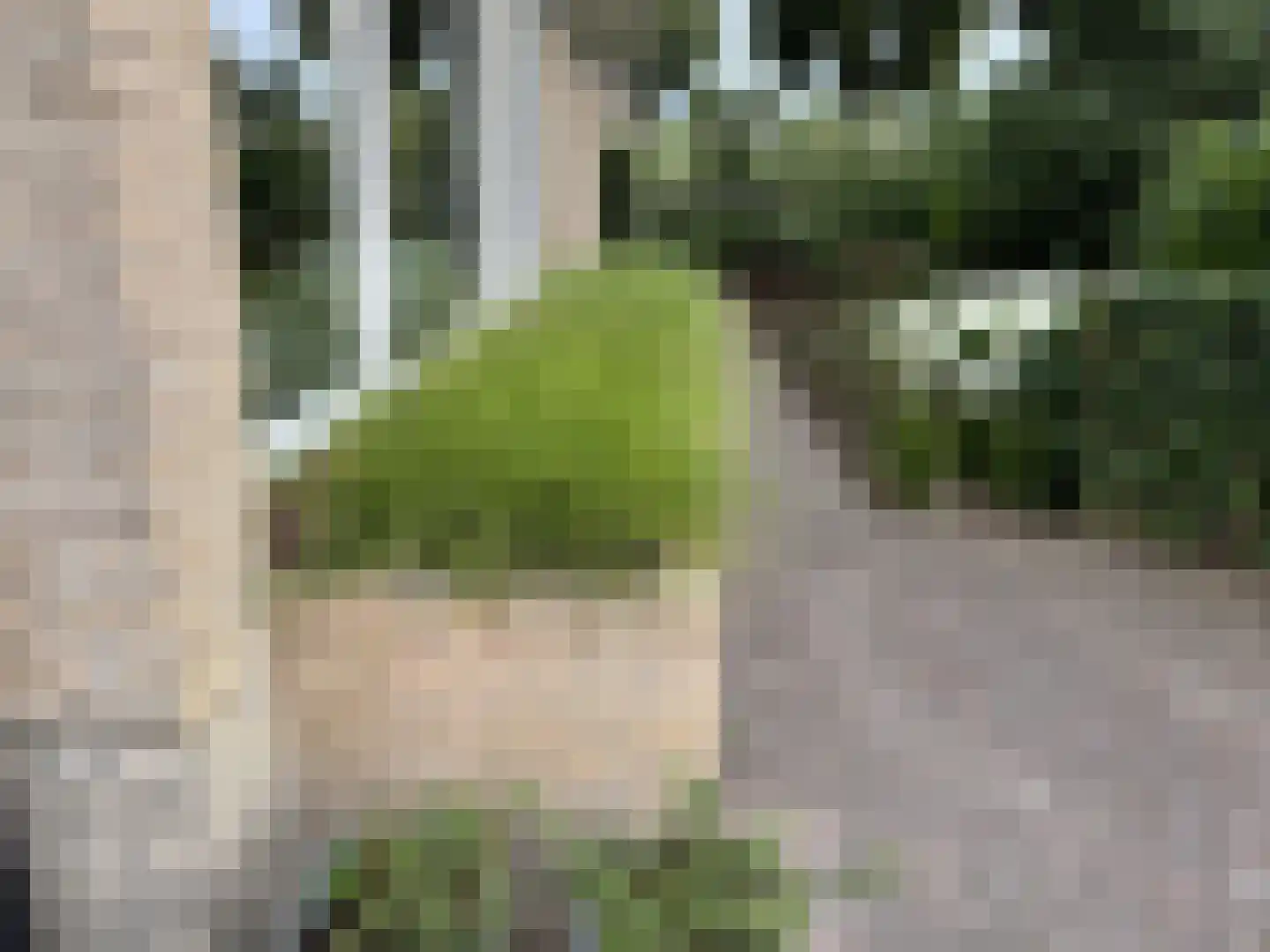 Langstraat 49 Dronten thumbnail 86