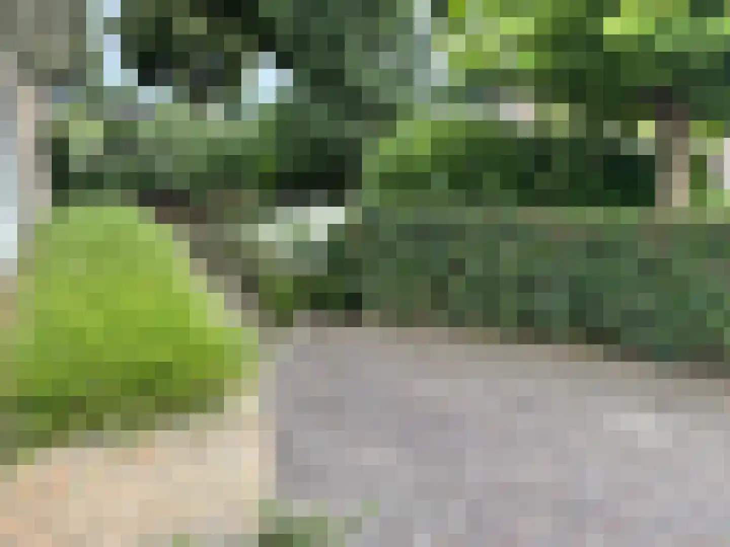 Langstraat 49 Dronten thumbnail 87