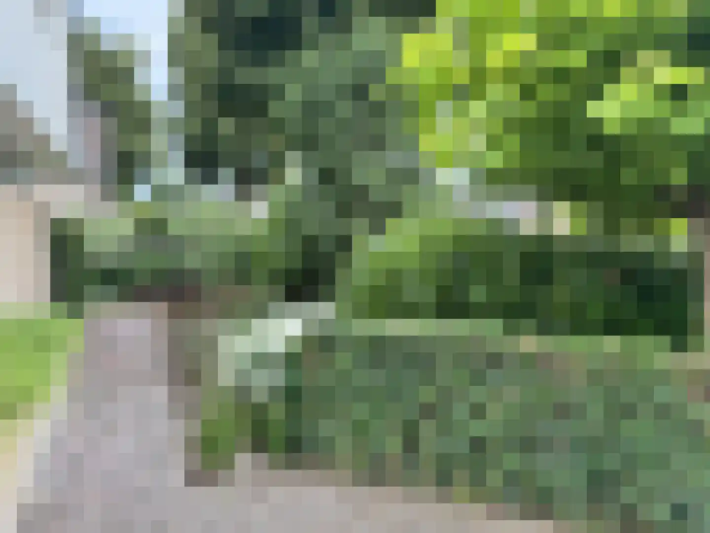 Langstraat 49 Dronten thumbnail 89