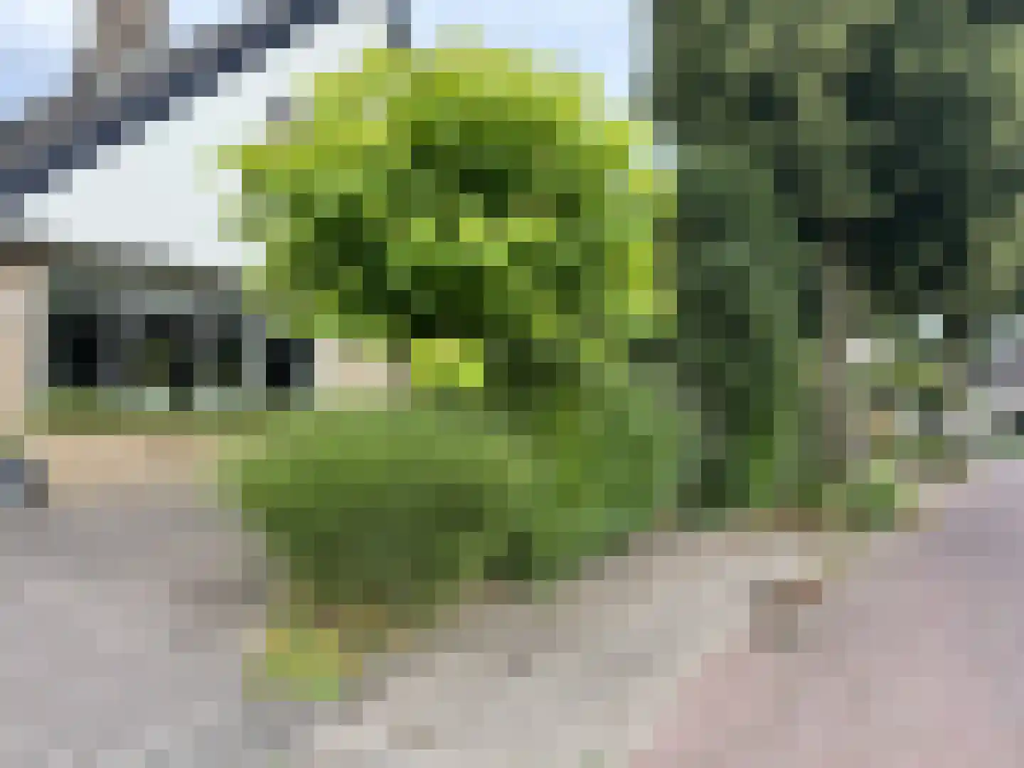 Langstraat 49 Dronten thumbnail 90