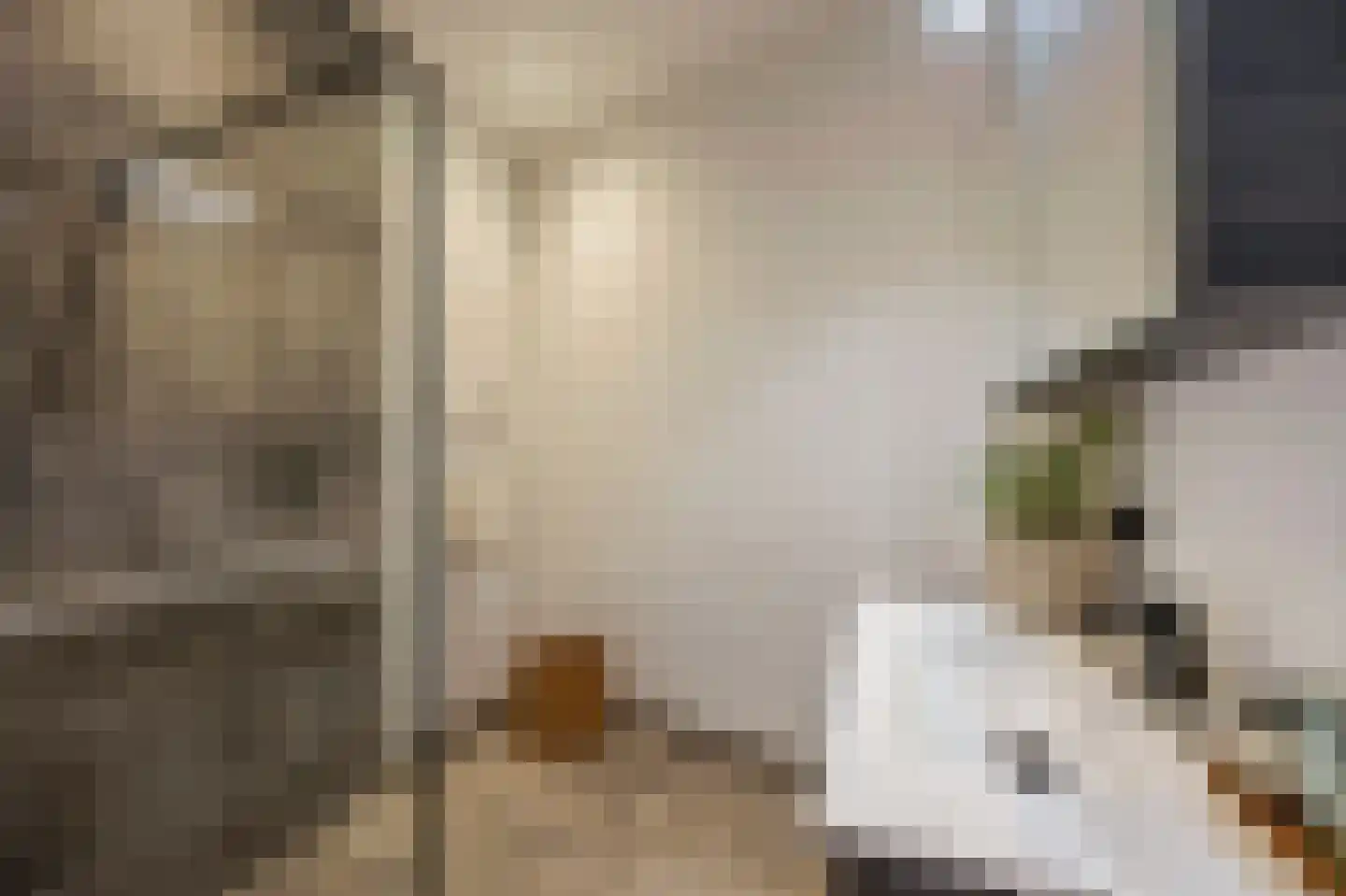 Langstraat 5 B Weert thumbnail 17