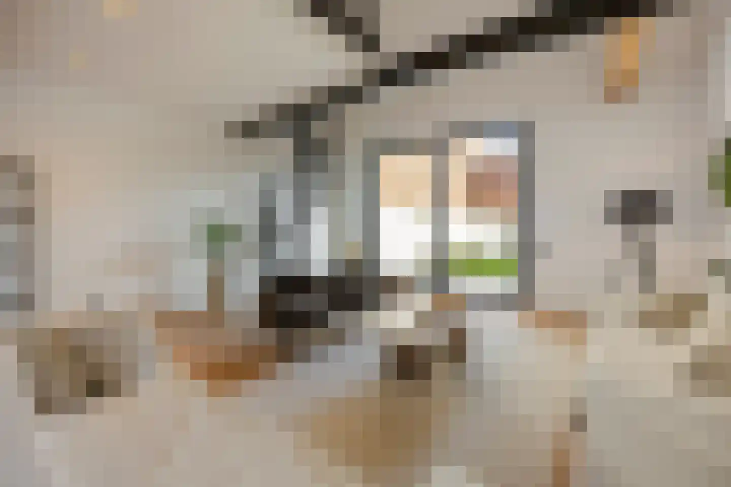 Langstraat 5 E Weert thumbnail 12