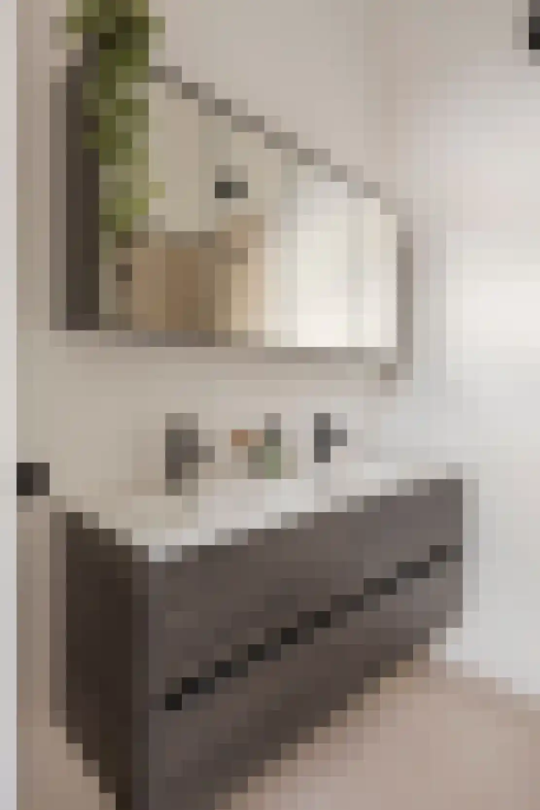 Langstraat 5 E Weert thumbnail 33