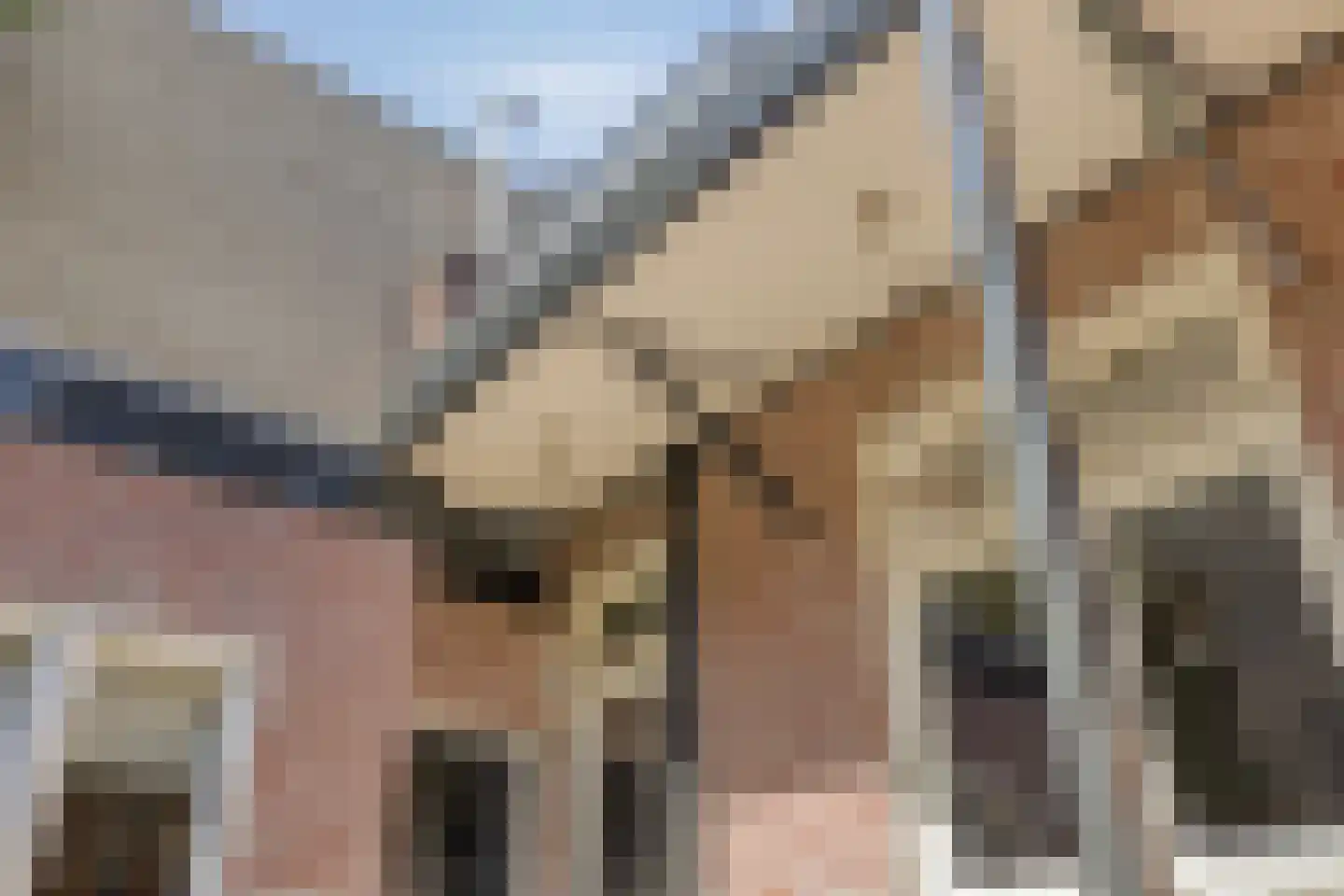 Langstraat 5 Venray thumbnail 34