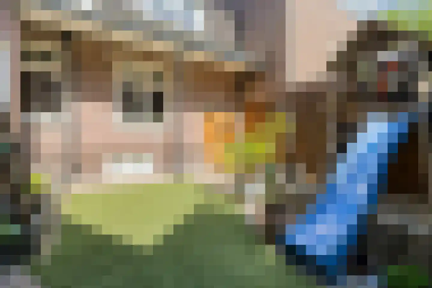 Langstraat 5 Venray thumbnail 35