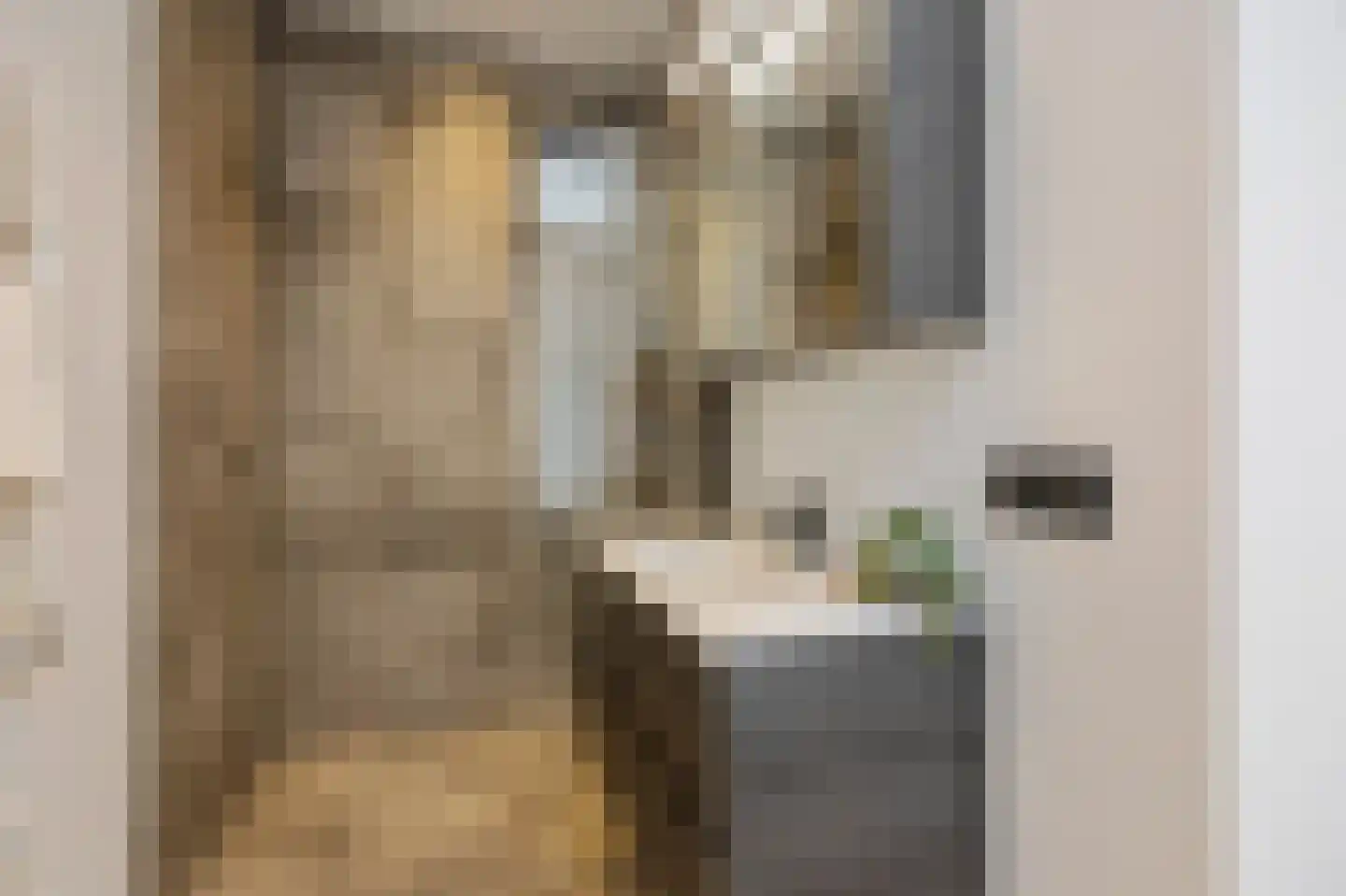 Langstraat 5 Weert thumbnail 5
