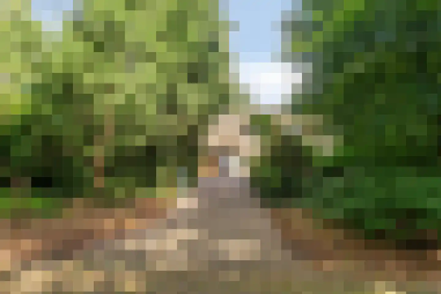 Langstraat 50 Asten thumbnail 11