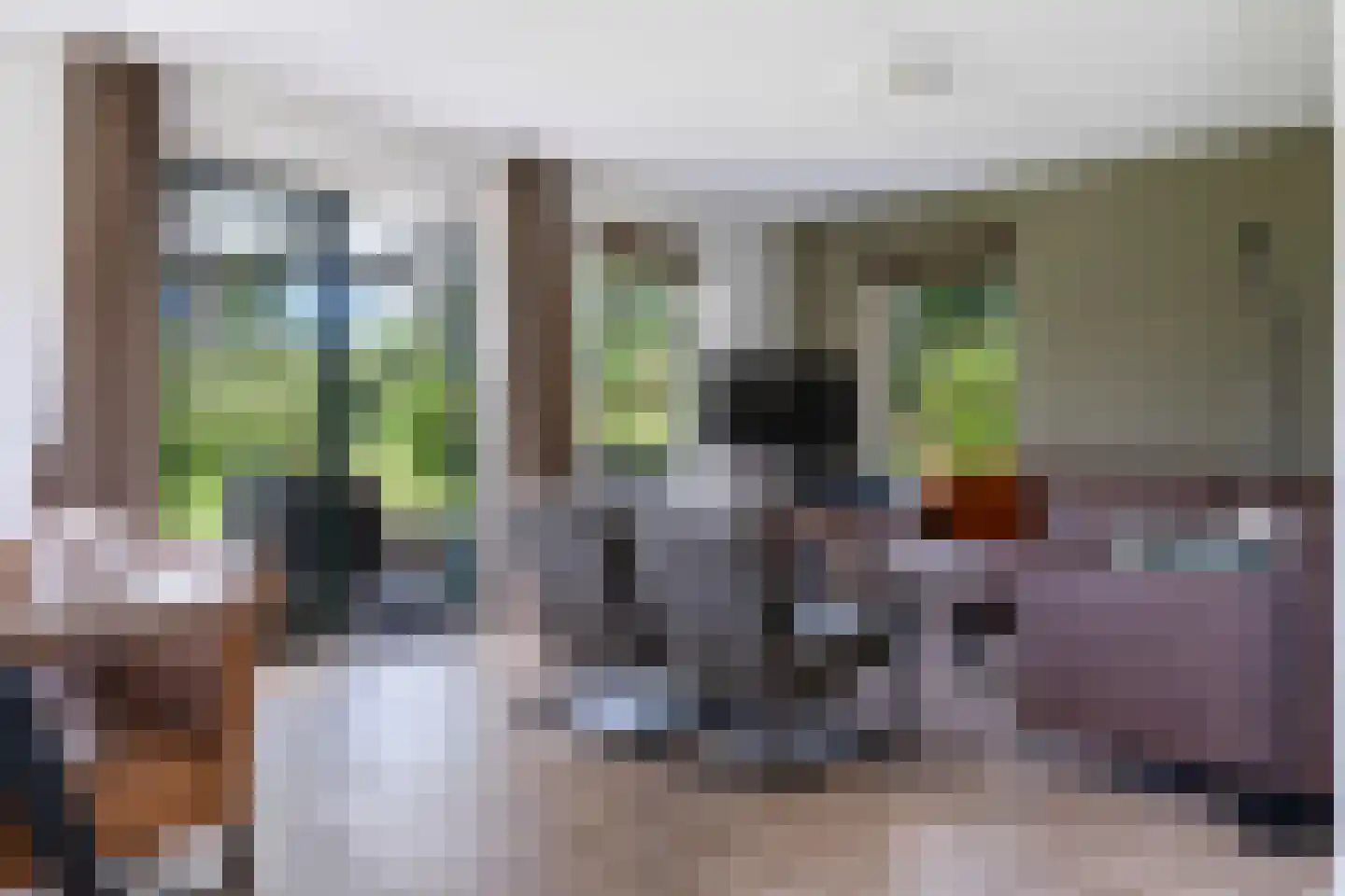 Langstraat 50 Asten thumbnail 16