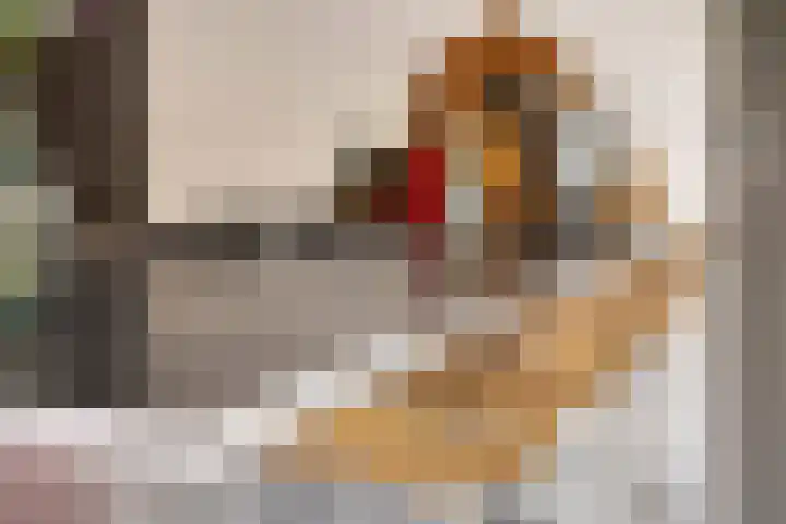 Langstraat 50 Asten thumbnail 17