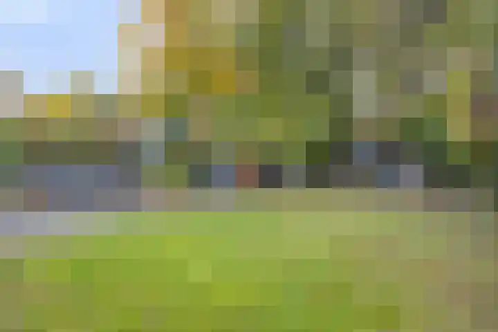 Langstraat 50 Asten thumbnail 46