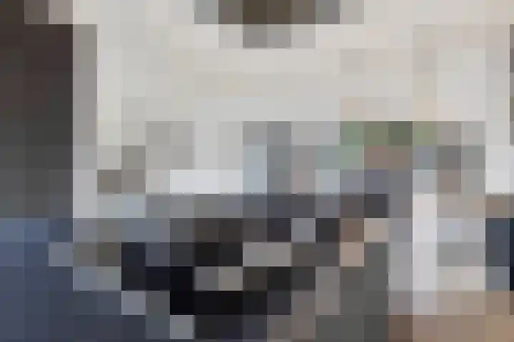 Langstraat 54 Venlo thumbnail 22