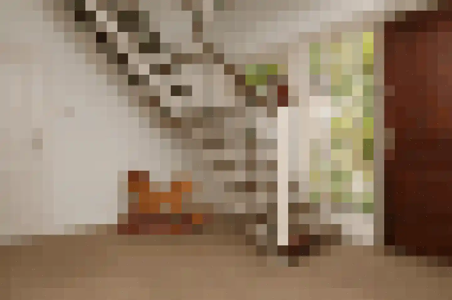 Langstraat 56 Deurne thumbnail 12