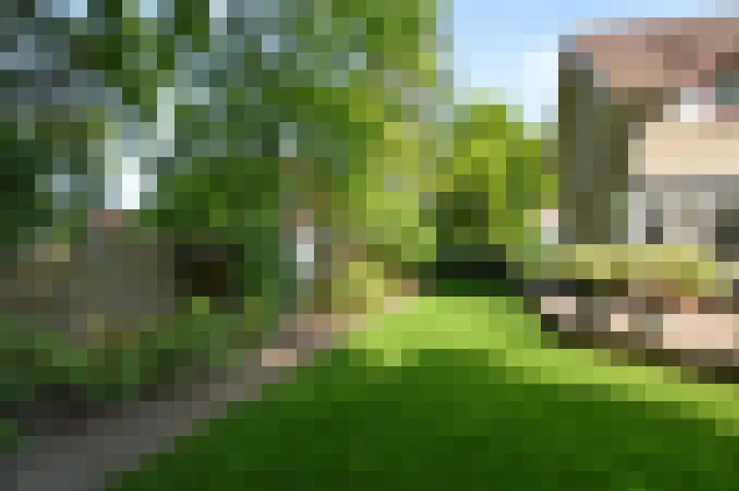 Langstraat 56 Deurne thumbnail 24