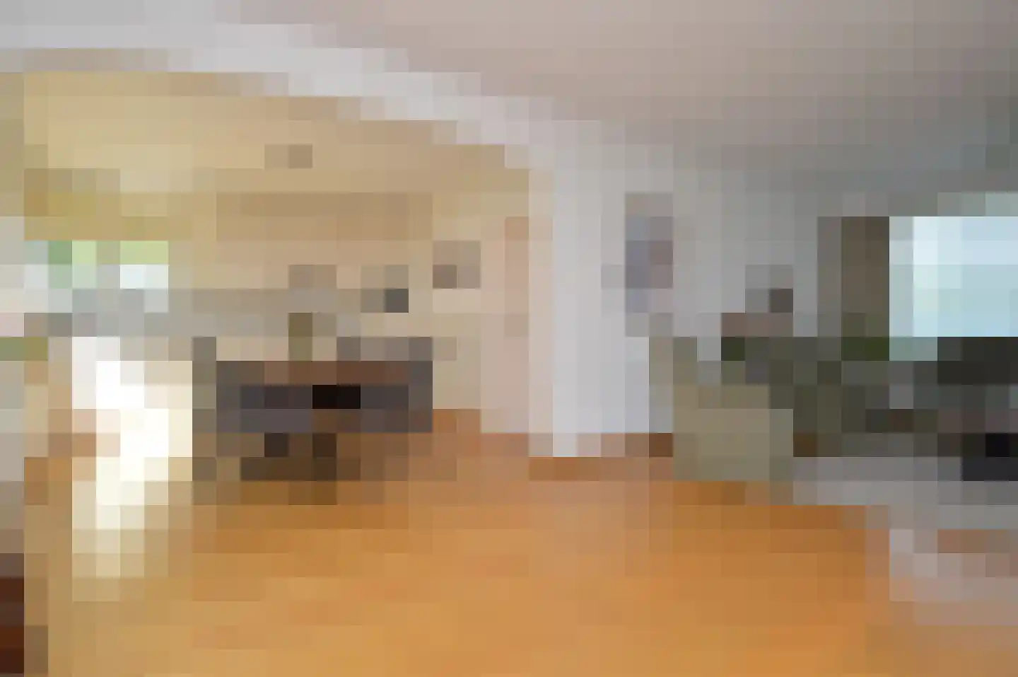 Langstraat 56 Deurne thumbnail 5